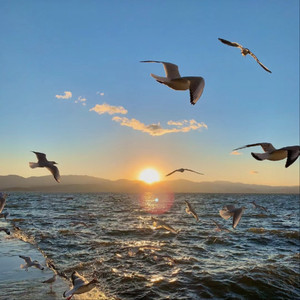 安迷修被雷狮用大鸡巴操干
