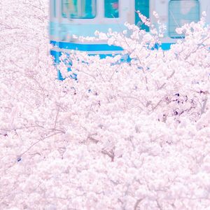 安迷修被雷狮用大鸡巴操干
